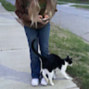 Meet your Posher, Maddy